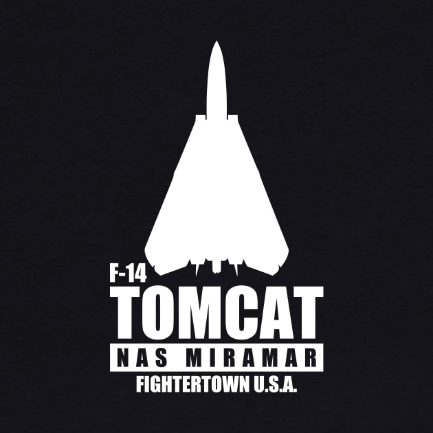 F-14 Tomcat NAS Miramar by Firemission45